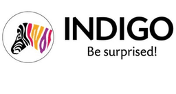 Indigo Paints Ltd IPO