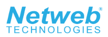 Netweb Technologies India Limited