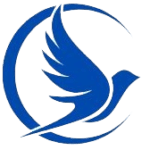 Shantidoot Infra Services Limited