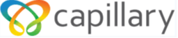 Capillary Technologies India